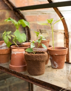 Large Terracotta Pot