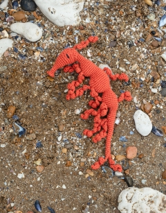 Piper the Leafy Sea Dragon