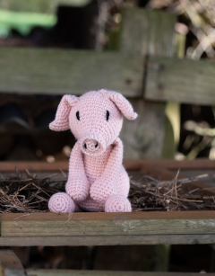 Richard the Pig Kit