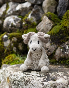 Bryn the Welsh Mountain Sheep Kit