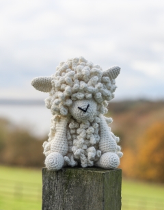 Nigella the Lincoln Longwool Sheep