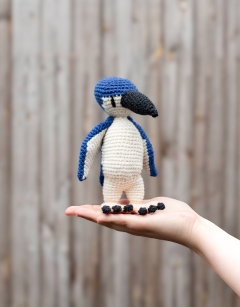 Ariki the Little Blue Penguin 