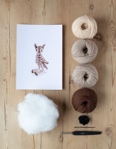 Enid the Long Eared Owl Kit