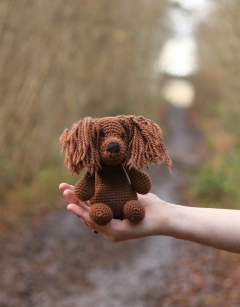 Lily the Long-Haired Dachshund