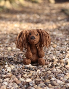 Lily the Long-Haired Dachshund