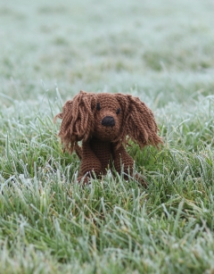 Lily the Long-Haired Dachshund