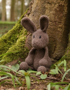 Lucy the Hare