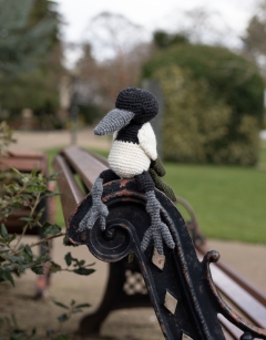 Alan the Magpie