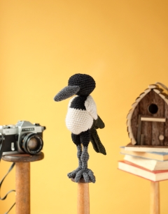 Alan the Magpie