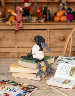 Alan the Magpie Kit