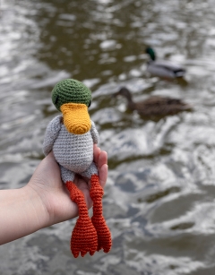 Duke the Mallard