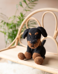 Ray the Manchester Terrier