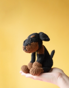 Ray the Manchester Terrier