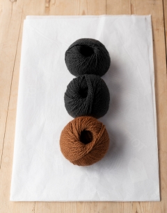 Ray the Manchester Terrier