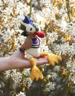 Pascal the Mandarin Duck 