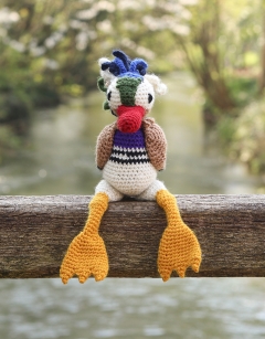 Pascal the Mandarin Duck 