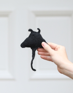Mini Jade the Manta Ray