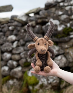 Jeffrey the Manx Loaghtan Sheep