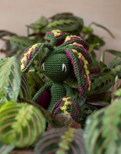 Maranta Fascinator Kit