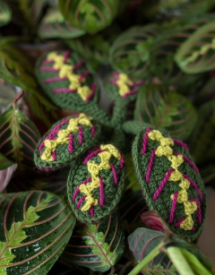 Maranta Fascinator