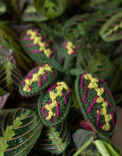 Maranta Fascinator Kit