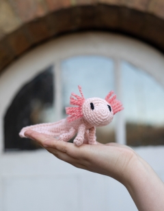 Mini Danielle the Axolotl Kit