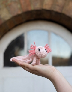 Mini Danielle the Axolotl