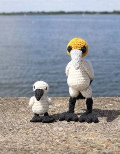Mini Bram the Northern Gannet