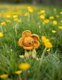 Mini Buttercup Kit