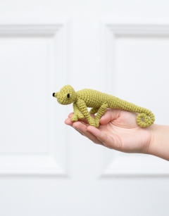 Mini Kerry the Chameleon