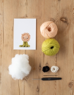 Mini Chrysanthemum Kit