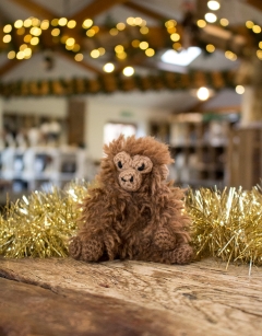 Jungle Discovery Box