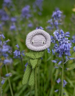 Mini Bluebell Kit