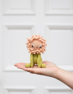 Mini Chrysanthemum Kit