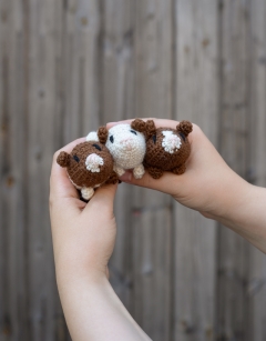 Mini Guinea Pigs Kit