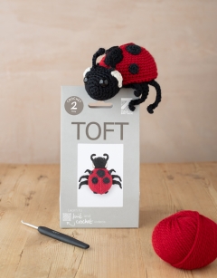 Ava the Ladybird Kit