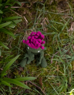 Mini Thistle Kit
