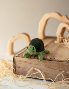 Mini Tortoises Kit
