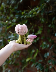 Mini Tulip Kit