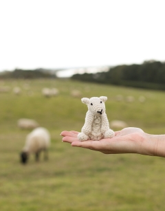 Mini Simon the Sheep