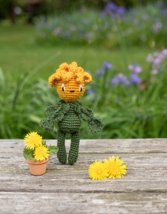 Mini Dandelion Kit
