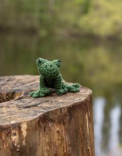 Mini Robert the Frog Kit