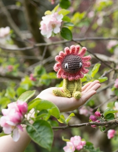 Mini Gerbera