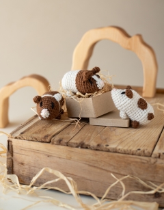 Mini Guinea Pigs Kit