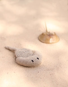 Mini Ron the Horseshoe Crab