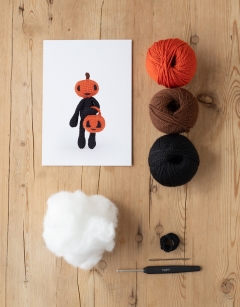 Mini Jack o Lantern Kit