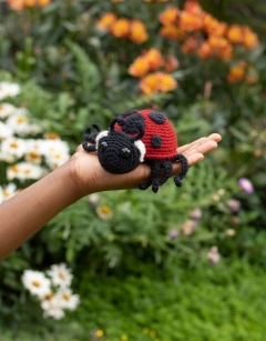 Ava the Ladybird Kit