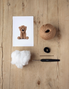 Mini Rufus the Lion Kit