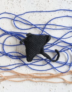 Mini Jade the Manta Ray