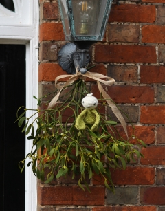 Mini Mistletoe Kit